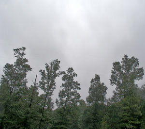 altostratus